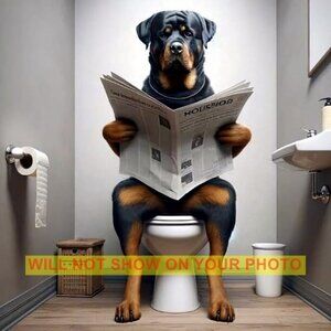 Wall Art Print Humorous Collectible Photograph 8x10 Print, Rottweiler On Potty